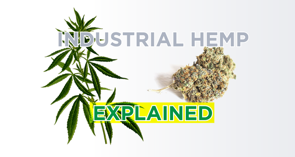 How is Industrial Hemp Different From Marijuana?